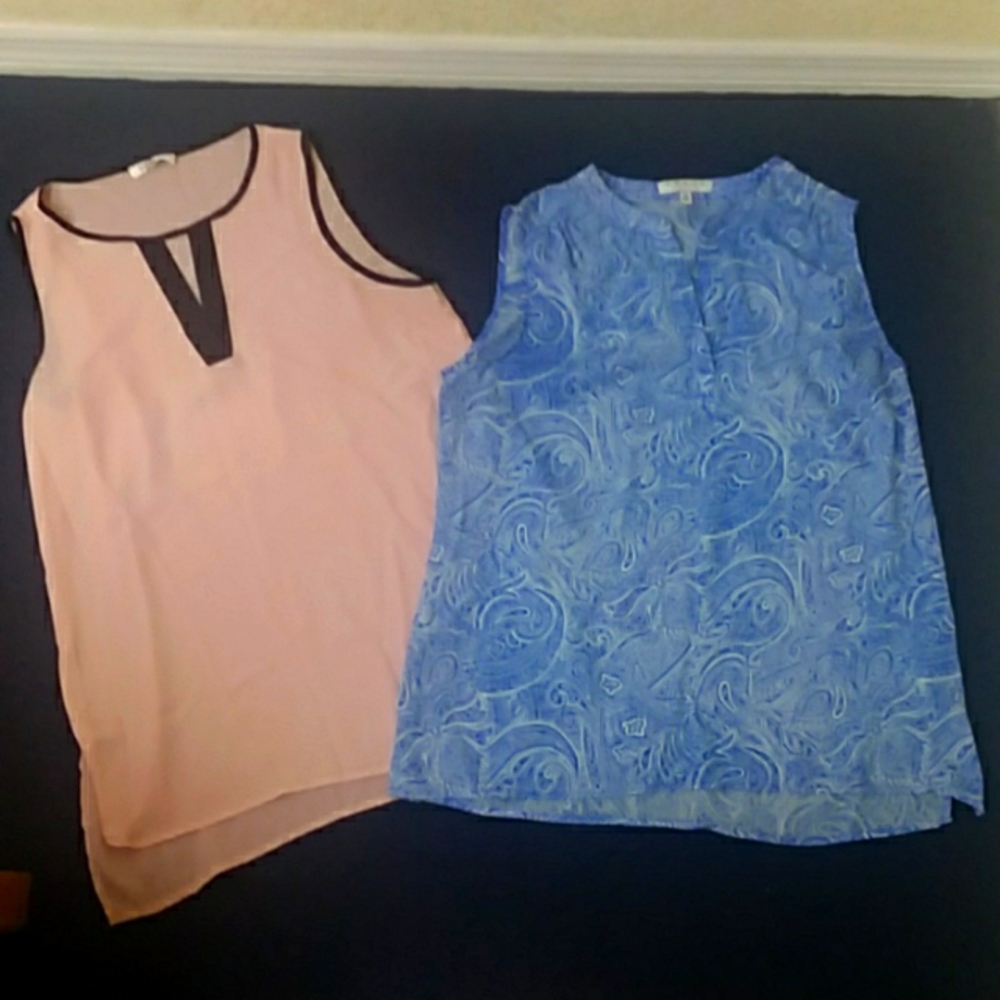 Chaus top in blue & white, spenser top. Two tops.